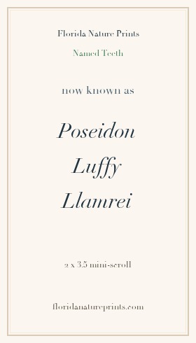 Sample 2 by 3.5 mini-scroll named Poseidon, Luffy, and Llamrei