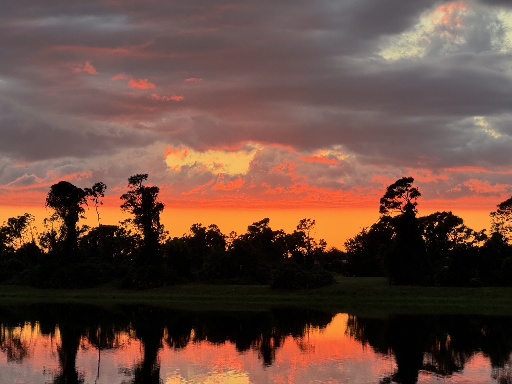 Florida marsh sunset photography
